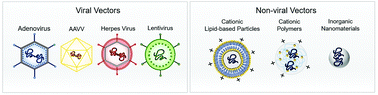 Graphical abstract: Revisiting gene delivery to the brain: silencing and editing