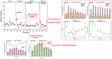 Graphical abstract: Effects of NaClO shock on MBR performance under continuous operating conditions