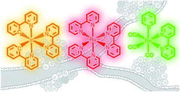 Graphical abstract: Phosphorescent metal complexes as theranostic anticancer agents: combining imaging and therapy in a single molecule