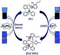 Graphical abstract: A highly emissive Zn(ii)-pyridyl-benzimidazolyl-phenolato-based chemosensor: detection of H2PO4−via “use” and “throw” device fabrication