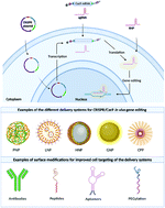 Graphical abstract: Pre-clinical non-viral vectors exploited for in vivo CRISPR/Cas9 gene editing: an overview