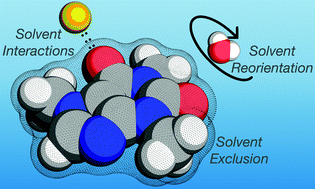 Graphical abstract: Anion–cation contrast of small molecule solvation in salt solutions