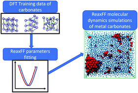 Graphical abstract: Development and application of ReaxFF methodology for understanding the chemical dynamics of metal carbonates in aqueous solutions