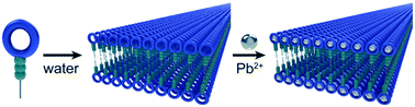 Graphical abstract: Emerging investigator series: aramid amphiphile nanoribbons for the remediation of lead from contaminated water