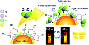 Graphical abstract: Surface ligand chemistry on quaternary Ag(InxGa1−x)S2 semiconductor quantum dots for improving photoluminescence properties