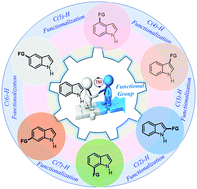 Graphical abstract: Transition metal-catalyzed C–H functionalizations of indoles