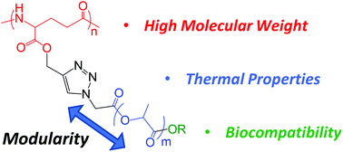 Graphical abstract: Biocompatible graft copolymers from bacterial poly(γ-glutamic acid) and poly(lactic acid)