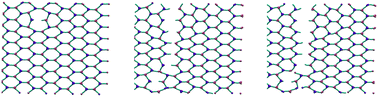 Graphical abstract: Simulation of defects, flexibility and rupture in biopolymer networks