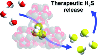 Graphical abstract: Biocompatible metal–organic frameworks for the storage and therapeutic delivery of hydrogen sulfide