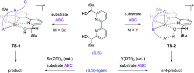 Graphical abstract: Origin of enantioselectivity reversal in Lewis acid-catalysed Michael additions relying on the same chiral source