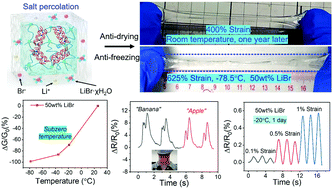 Graphical abstract: Ultrastable, stretchable, highly conductive and transparent hydrogels enabled by salt-percolation for high-performance temperature and strain sensing