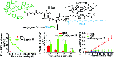 Graphical abstract: The enhanced antitumor activity of the polymeric conjugate covalently coupled with docetaxel and docosahexaenoic acid