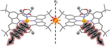 Graphical abstract: Circularly polarized near-infrared phosphorescence of chiral chromium(iii) complexes