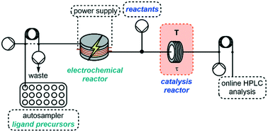 Graphical abstract: Development of a multistep, electrochemical flow platform for automated catalyst screening