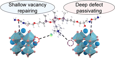 Graphical abstract: Deep defect passivation and shallow vacancy repair via an ionic silicone polymer toward highly stable inverted perovskite solar cells