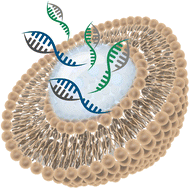 Graphical abstract: Lipid-based colloidal nanoparticles for applications in targeted vaccine delivery