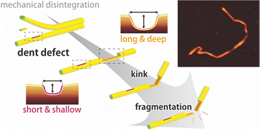 Graphical abstract: Atomic-scale dents on cellulose nanofibers: the origin of diverse defects in sustainable fibrillar materials