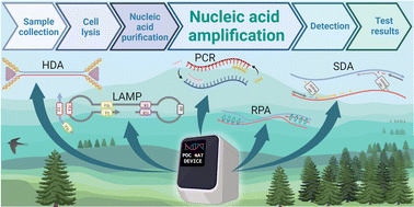 Graphical abstract: Point-of-care nucleic acid tests: assays and devices