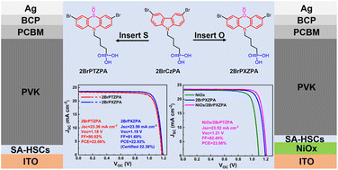 Graphical abstract: Simple and robust phenoxazine phosphonic acid molecules as self-assembled hole selective contacts for high-performance inverted perovskite solar cells