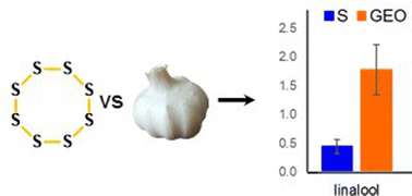 Graphical abstract: A comparison of adhesive polysulfides initiated by garlic essential oil and elemental sulfur to create recyclable adhesives