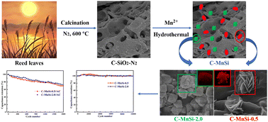 Graphical abstract: Petal-like and cube-like manganese silicates derived from natural reed leaves for high-performance supercapacitors