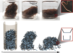 Graphical abstract: Amorphous entangled active matter