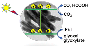 Graphical abstract: Modulating oxygen vacancy concentration on Bi4V2O11 nanorods for synergistic photo-driven plastic waste oxidation and CO2 reduction