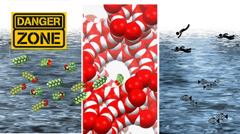 Graphical abstract: High temperature behaviour of Ag-exchanged Y zeolites used for PFAS sequestration from water