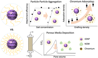 Graphical abstract: Delineating the role of surface grafting density of organic coatings on the colloidal stability, transport, and sorbent behavior of engineered nanoparticles