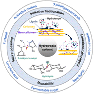 Graphical abstract: Recent advances in hydrotropic solvent systems for lignocellulosic biomass utilization