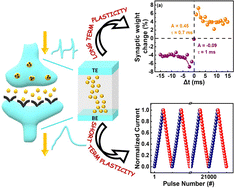 Graphical abstract: Insights into synaptic functionality and resistive switching in lead iodide flexible memristor devices