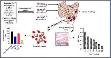 Graphical abstract: Chitosan-coated halloysite nanotube magnetic microspheres for carcinogenic colorectal hemorrhage and liver laceration in albino rats