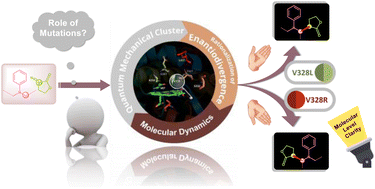 Graphical abstract: Role of mutations in a chemoenzymatic enantiodivergent C(sp3)–H insertion: exploring the mechanism and origin of stereoselectivity