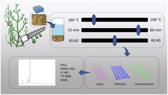 Graphical abstract: A novel biorefinery concept based on marginally used halophyte biomass