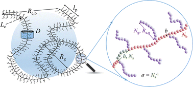 Graphical abstract: Research progress on the conformational properties of comb-like polymers in dilute solutions