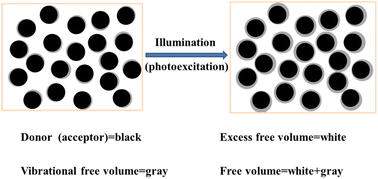 Graphical abstract: Determining shunt resistances via modeling the photovoltaic performance of organic solar cells