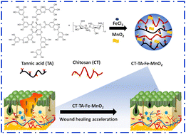 Graphical abstract: Injectable, antibacterial, and oxygen-releasing chitosan-based hydrogel for multimodal healing of bacteria-infected wounds