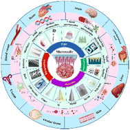 Graphical abstract: Applications and prospects of microneedles in tumor drug delivery