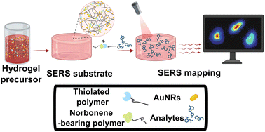 Graphical abstract: Using thiol–ene click chemistry to engineer 3D printed plasmonic hydrogel scaffolds for SERS biosensing
