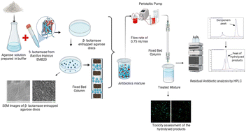 Graphical abstract: Applicability of β-lactamase entrapped agarose discs for removal of doripenem antibiotic: reusability and scale-up studies