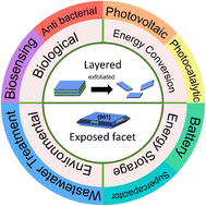 Graphical abstract: Facet-controlled growth and soft-chemical exfoliation of two-dimensional titanium dioxide nanosheets