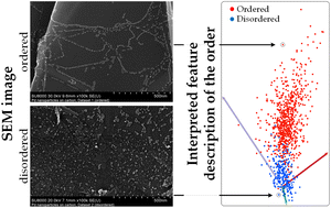 Graphical abstract: Determining the orderliness of carbon materials with nanoparticle imaging and explainable machine learning