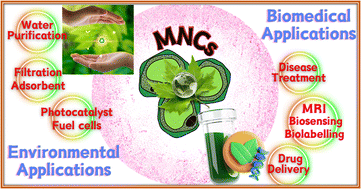 Graphical abstract: Translational applications of magnetic nanocellulose composites