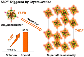 Graphical abstract: Crystallization induces thermally activated delayed fluorescence of Ag14 nanoclusters