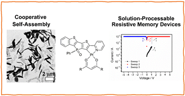 Graphical abstract: Phosphole oxide-based cyclometalated platinum(ii) β-diketonate complexes for cooperative self-assembly and solution-processable resistive memories with excellent stability