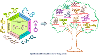 Graphical abstract: Recent advancements in the chemistry of Diels–Alder reaction for total synthesis of natural products: a comprehensive review (2020–2023)