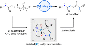 Graphical abstract: Understanding mechanism driven regioselectivity in zirconium-catalysed hydroaminoalkylation: homoallylic amines from conjugated dienes