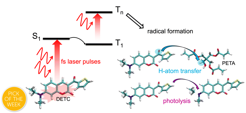 Graphical abstract: Two- and three-photon processes during photopolymerization in 3D laser printing