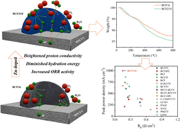 Graphical abstract: Balancing the triple conductivity of zinc-doped cathodes for proton-conducting solid oxide fuel cells