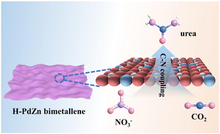 Graphical abstract: Hydrogen-intercalation PdZn bimetallene for urea electro-synthesis from nitrate and carbon dioxide